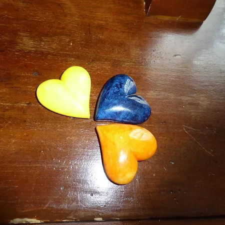 I Colori Di Mag