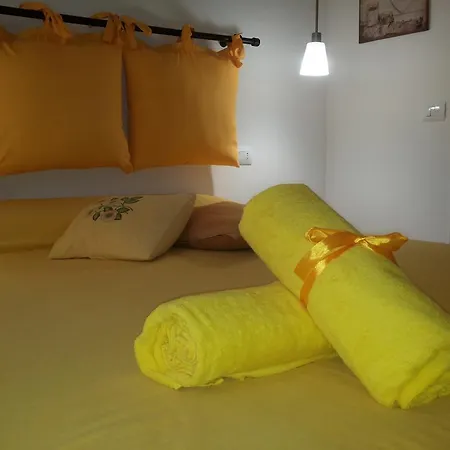 我之色彩小屋 斯培西亚