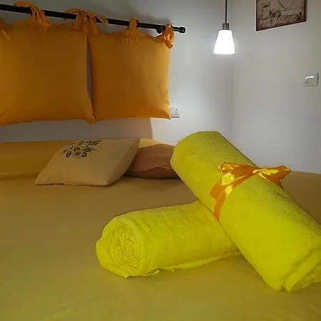I Colori Di Mag